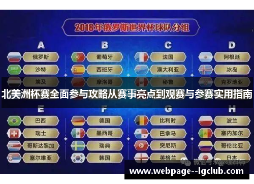 北美洲杯赛全面参与攻略从赛事亮点到观赛与参赛实用指南